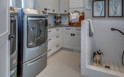 The Latest Trends In Pet-Friendly House Design